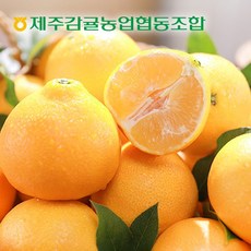 //상품명
