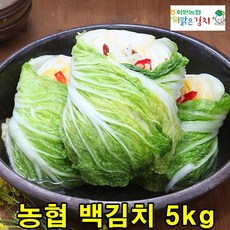 옐로우백김치5kg