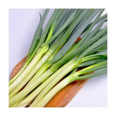 농협 신선특선 대파 2kg 특품 작은단, ONE COLOR, ONE SIZE
