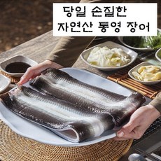 통영 장어 1kg 2kg (발송 당일 손질), [ 1kg ] 손질장어