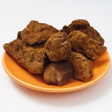 송일품 차가버섯 약용버섯 100g, 1개