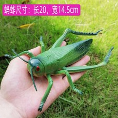 뮤고랑동물피규어