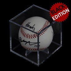 고급형야구공케이스