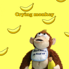 노래하는앵무새