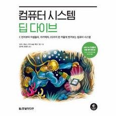 컴퓨터 시스템 딥 다이브 C 언어부터 어셈블리 아키텍처 OS까지 한 꺼풀씩 벗겨보는 컴퓨터 시스템, 상품명