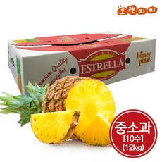 고당도 골드 파인애플 10수(소과) 12kg 1박스, 단품