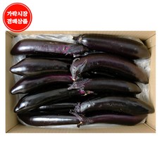 [가락시장 경매 식자재 채소] 가지 8kg내외