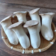 농장직송 손질 느타리버섯 새송이버섯 경남 의령 당일수확발송, 1개, 새송이버섯 특품 2kg