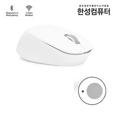 한성bm100