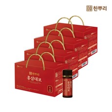 한뿌리 홍삼대보 100mlx10병x4set