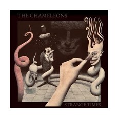 chameleons세트
