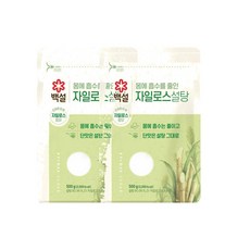CJ 백설 하얀 자일로스설탕, 500g, 2개