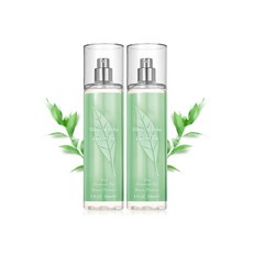 엘리자베스아덴그린티바디미스트