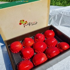 안동학가산김치4kg