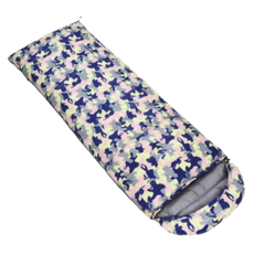 힐레베르그아틀라스