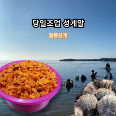 담다마켓 당일조업 생물 성게알 우니 말똥성게, 6개, 100g