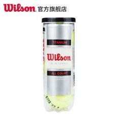 WILSON 테니스 테니스 공 통조림 스트레스 프리 트레이닝 테니스 연습 공 3 장 WRT1021