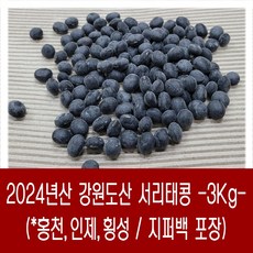 [다온농산] 국산 서리태콩 <강원도산> -3Kg- 강원도 홍천 농가, 1개, 3kg