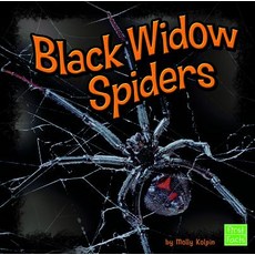 (영문도서) Black Widow Spiders Hardcover, Capstone Press, English, 9781429645195