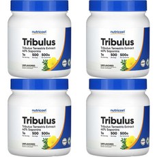 뉴트리코스트 고흡수 트리뷸러스 남가새 파우더, 4개, 500g