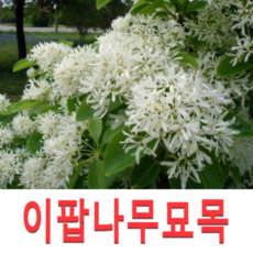 7b98d056f0181ef2436ffe0c396de2c9f63d09cb14182584374393621e7a.png