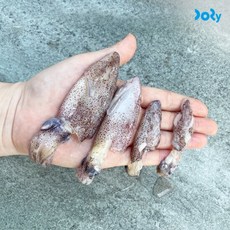 국내산 꼴뚜기 1kg 급냉 호래기