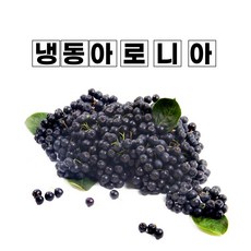 착한톡톡칡ㅂ