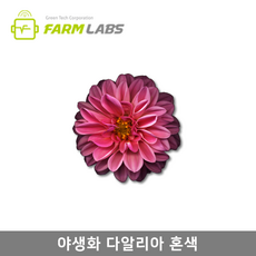5ef2855e0462e9f7eeb5e02beb3b7c76cb5f7d2bbb6517e27f2995e55c27.png