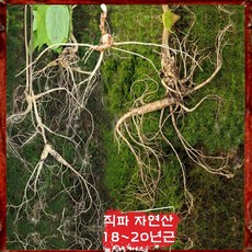 20년산삼가격