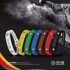 알파골프건강팔찌