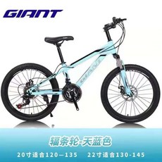 자이언트tcr어드밴스1kom