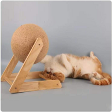 제스파피카노리캣폴