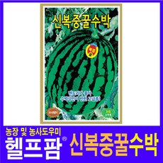 헬프팜 신복중꿀수박 30립 수박씨 씨앗 종자 KS종묘, 1개