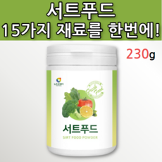 칠레의밤