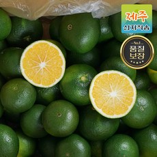 [출하지정농가] 청정 제주 프리미엄 청귤 풋귤 청귤청 3kg 5kg 10kg, 상품 3kg, 1개