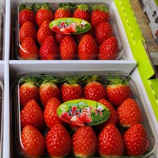 산지직송 설향 딸기 선물 겨울과일 2kg, 1개, 2kg(500gx4팩)중