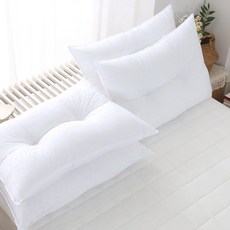 애프터식스 지퍼형 투홀 항균 경추베개솜 50x70 (2장), 투홀_항균경추베개솜(2장)_50X70