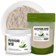 차전자피500g