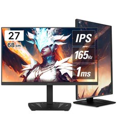 알파스캔 콘퀘스트 27F90G 게이밍 165Hz 무결점 27인치 모니터 추천 컴퓨터 PC IPS 가성비 세로 멀티스탠드