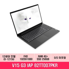 레노버 2022 V15 G3 IAP 15.6, Iron Gray, 코어i3, 256GB, 4GB, Free DOS, 82TT007PKR