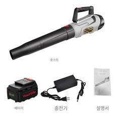 버전블로어