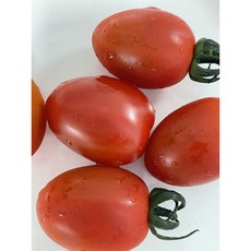 대추방울토마토-추천-상품