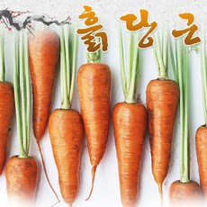 fe733e9ed32e7d4db25ad74c7d0bc341cb9f386eeb10bc3fe25011e719b6.jpg