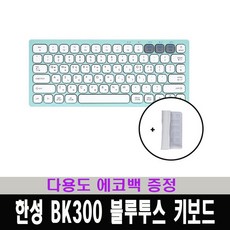 한성bk300