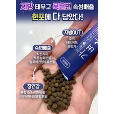 가벼운환