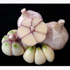 2024년 홍산마늘 대 3kg 단단하고 맛있는 서산 해풍 마늘 육쪽마늘, 1개