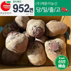 해돋이농산 제주 레드비트 비트 5kg 10kg내외, 1개