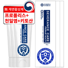 연세대학교 세브란스 치아 케어 100% 덴탈 마스터 치약, 120g, 6개