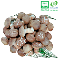2b38aed0775f44538e71bd35629e3097c4f059505998daab06efb092fa4d.png