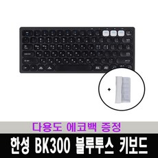 한성bk300